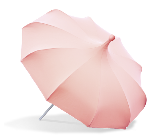 Rosa parasoll